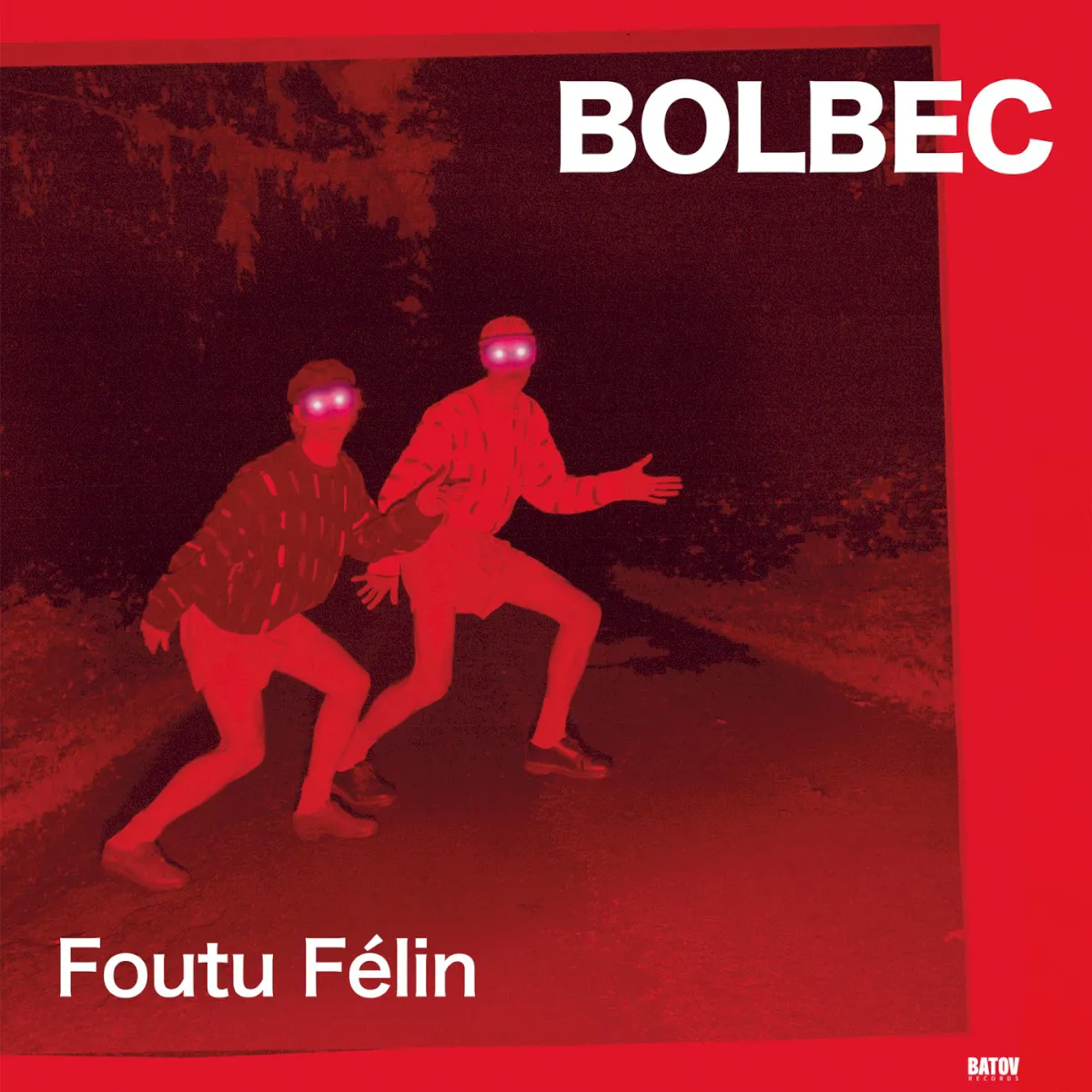Cover of Foutu Félin