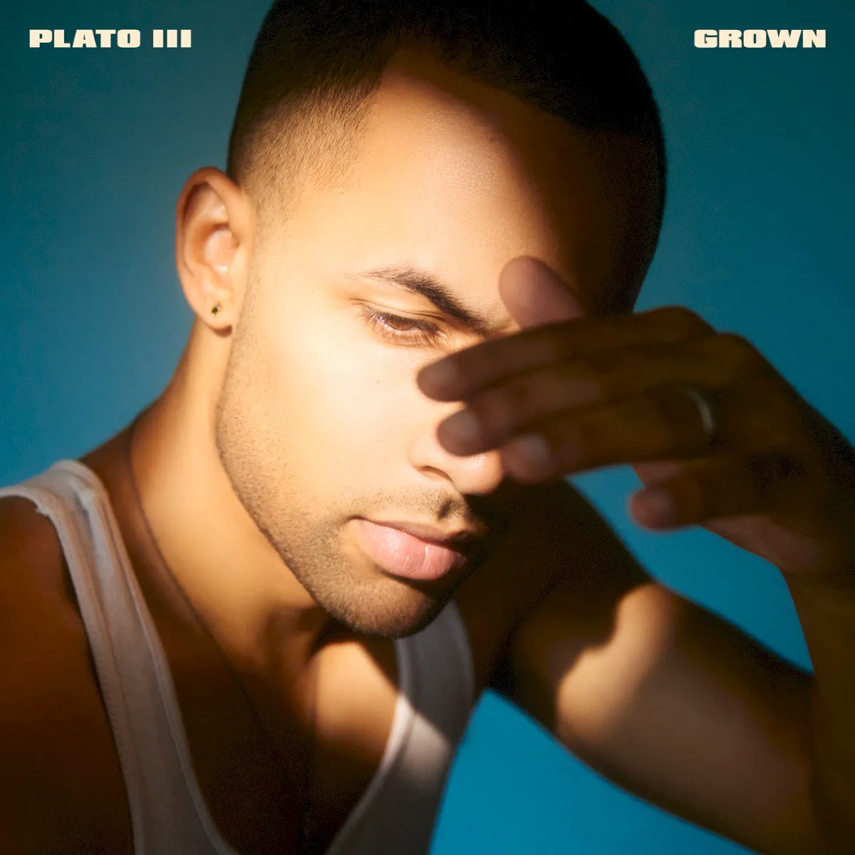 Obal alba Plato III – Grown