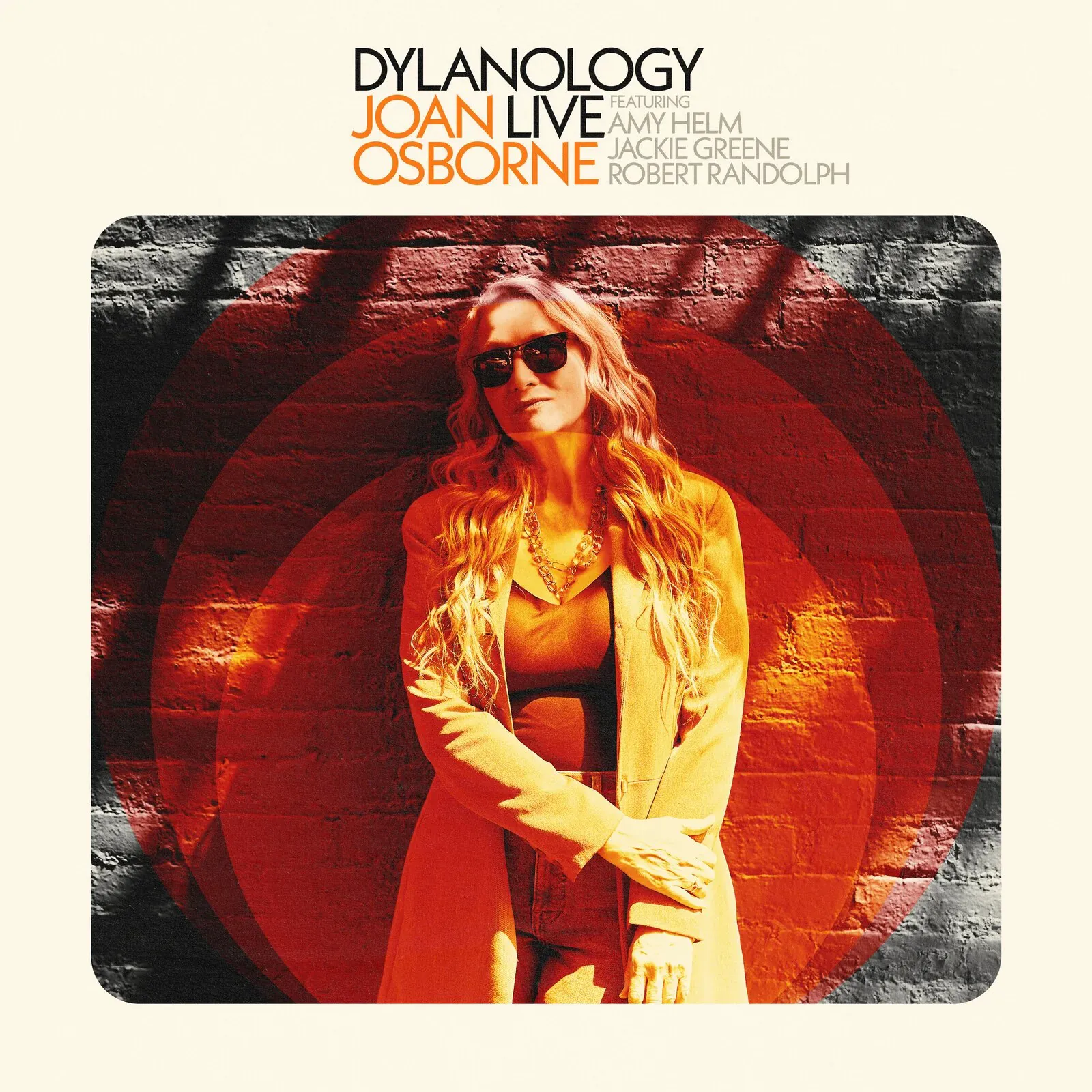 Cover of Dylanology Live