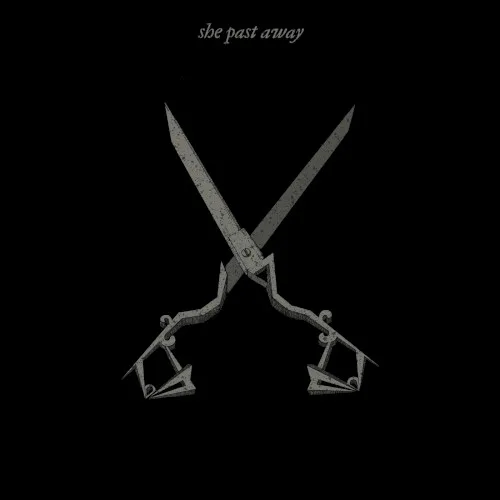 Obal alba She Past Away – X