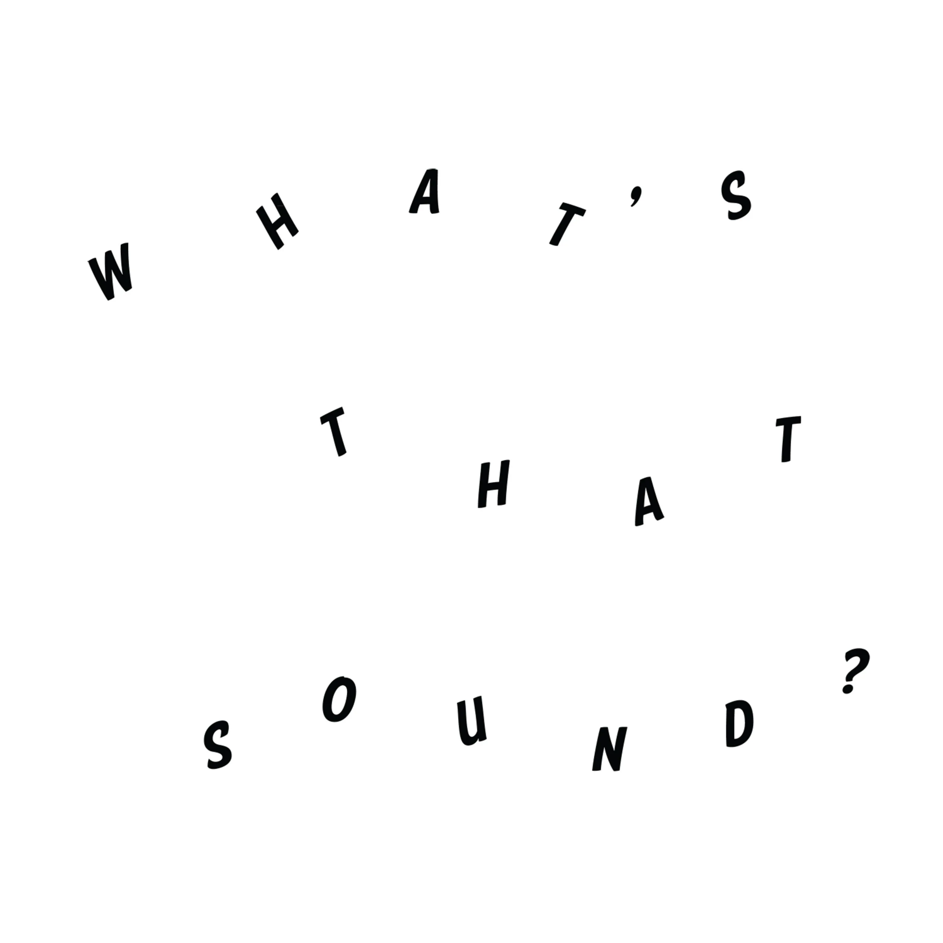 Obal alba Daniel Woolhouse – What's That Sound