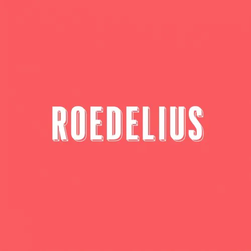 Cover of Hans‐Joachim Roedelius – Drauf und Dran
