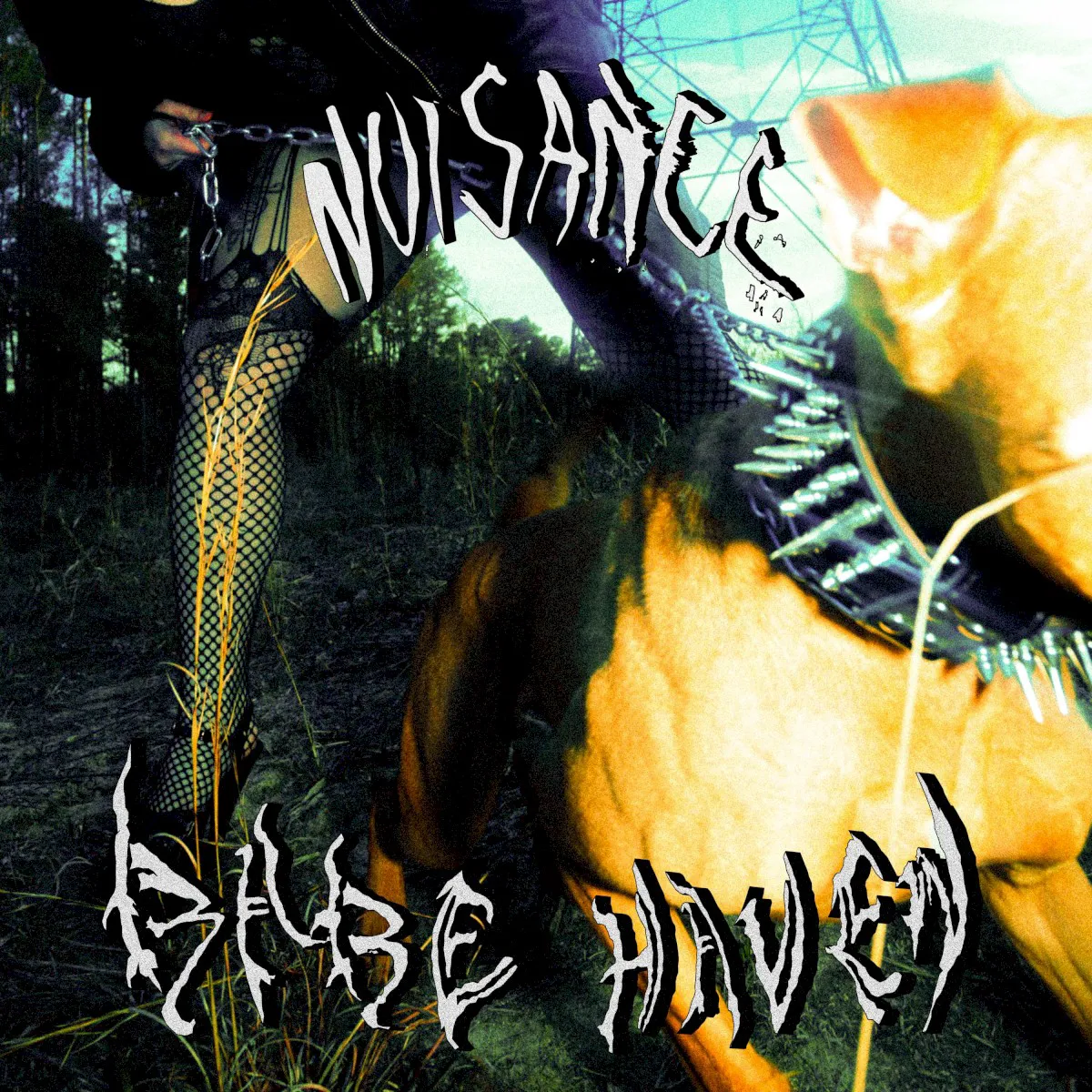 Obal albumu Nuisance