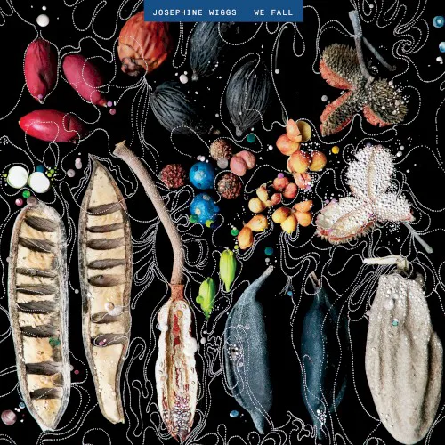 Cover of Josephine Wiggs – We Fall