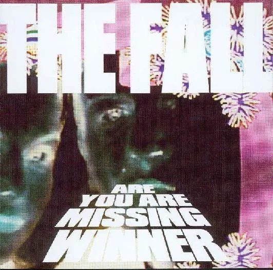 Okładka albumu Are You Are Missing Winner