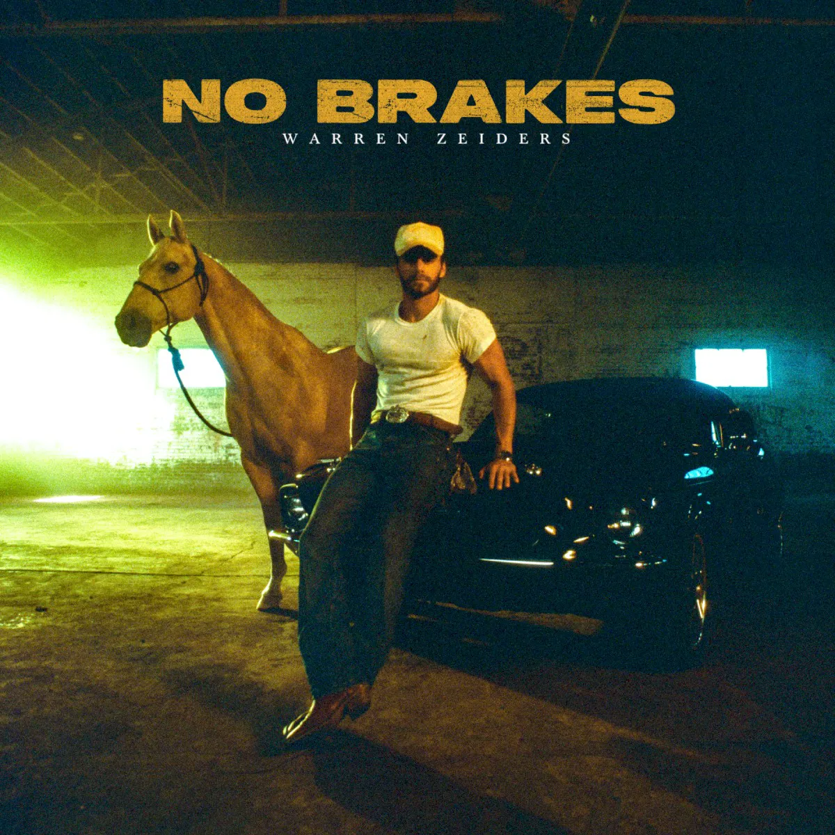 Cover of No Brakes