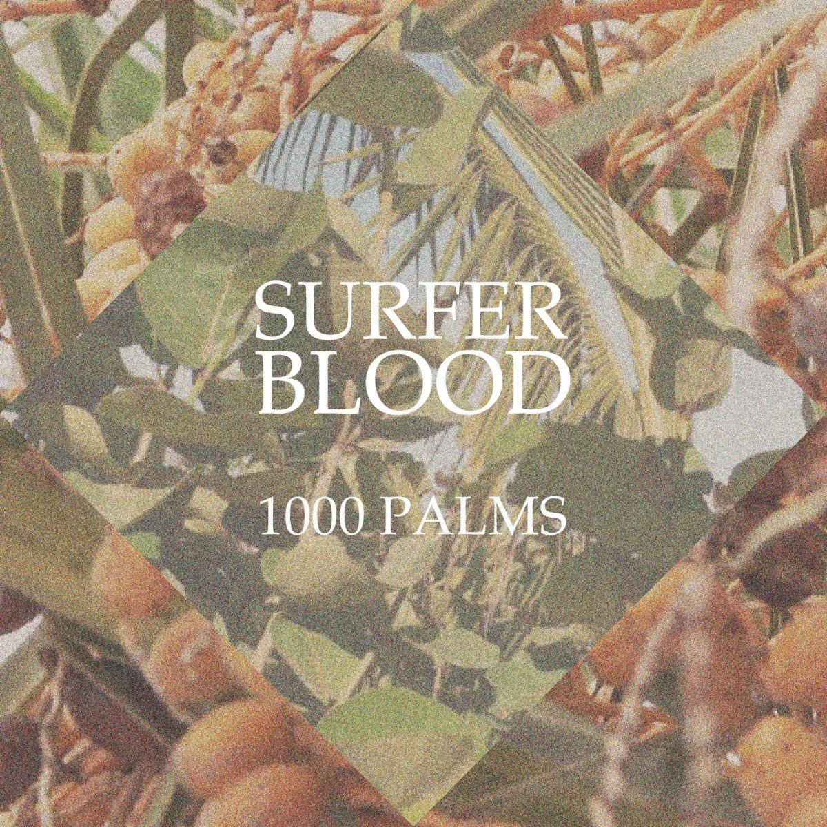 Cover of Surfer Blood – 1000 Palms