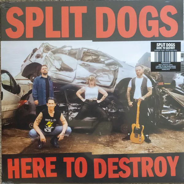 Cover of Here To Destroy