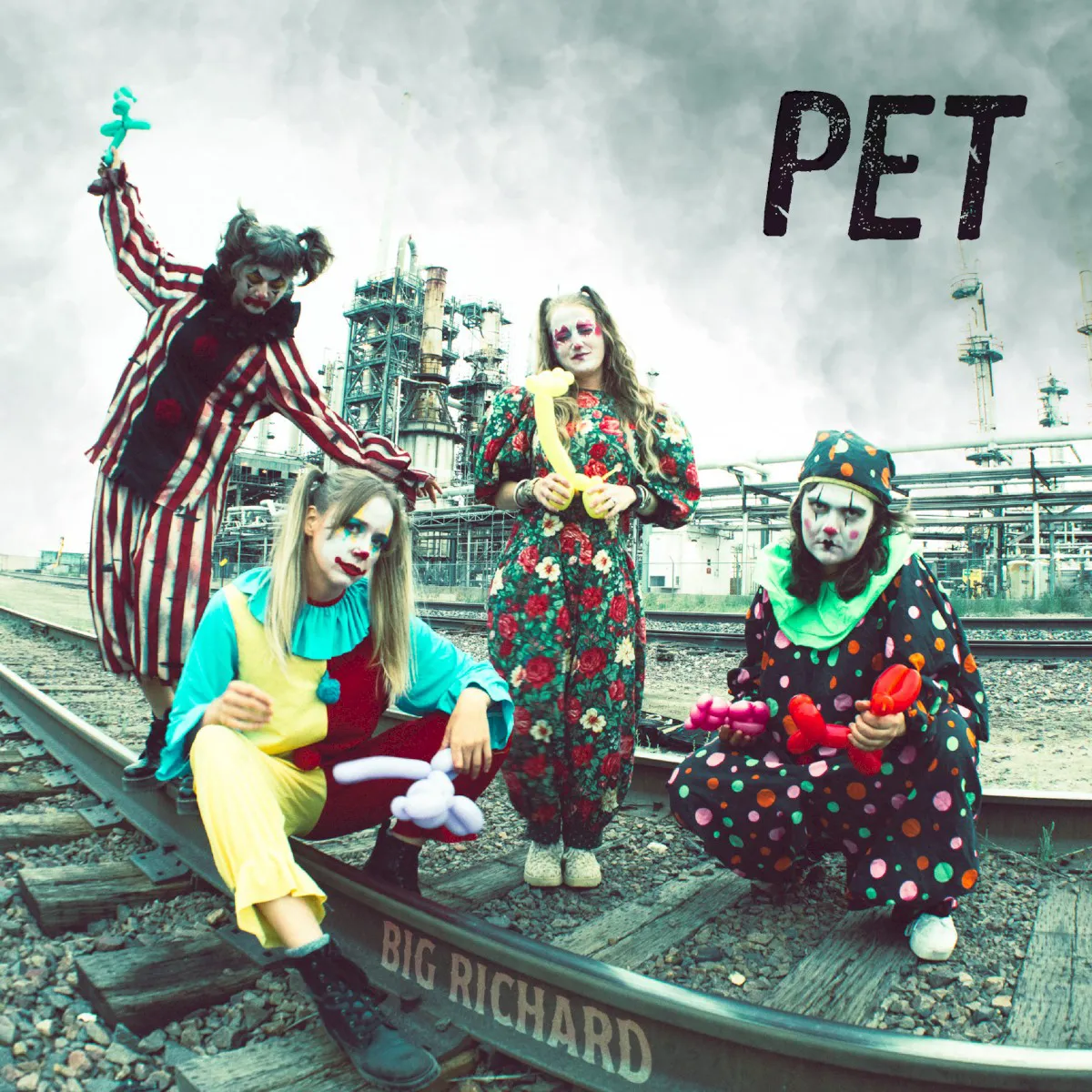 Cover of Pet