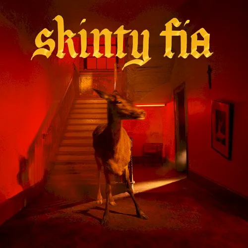 Obal albumu Fontaines D.C. – Skinty Fia