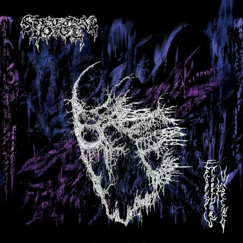 Obal albumu Spectral Voice – Eroded Corridors of Unbeing