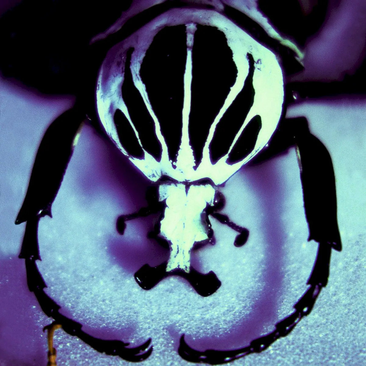 Obal alba Make a Pest a Pet