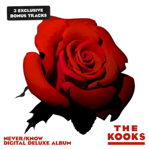 Cover of The Kooks – Never/Know
