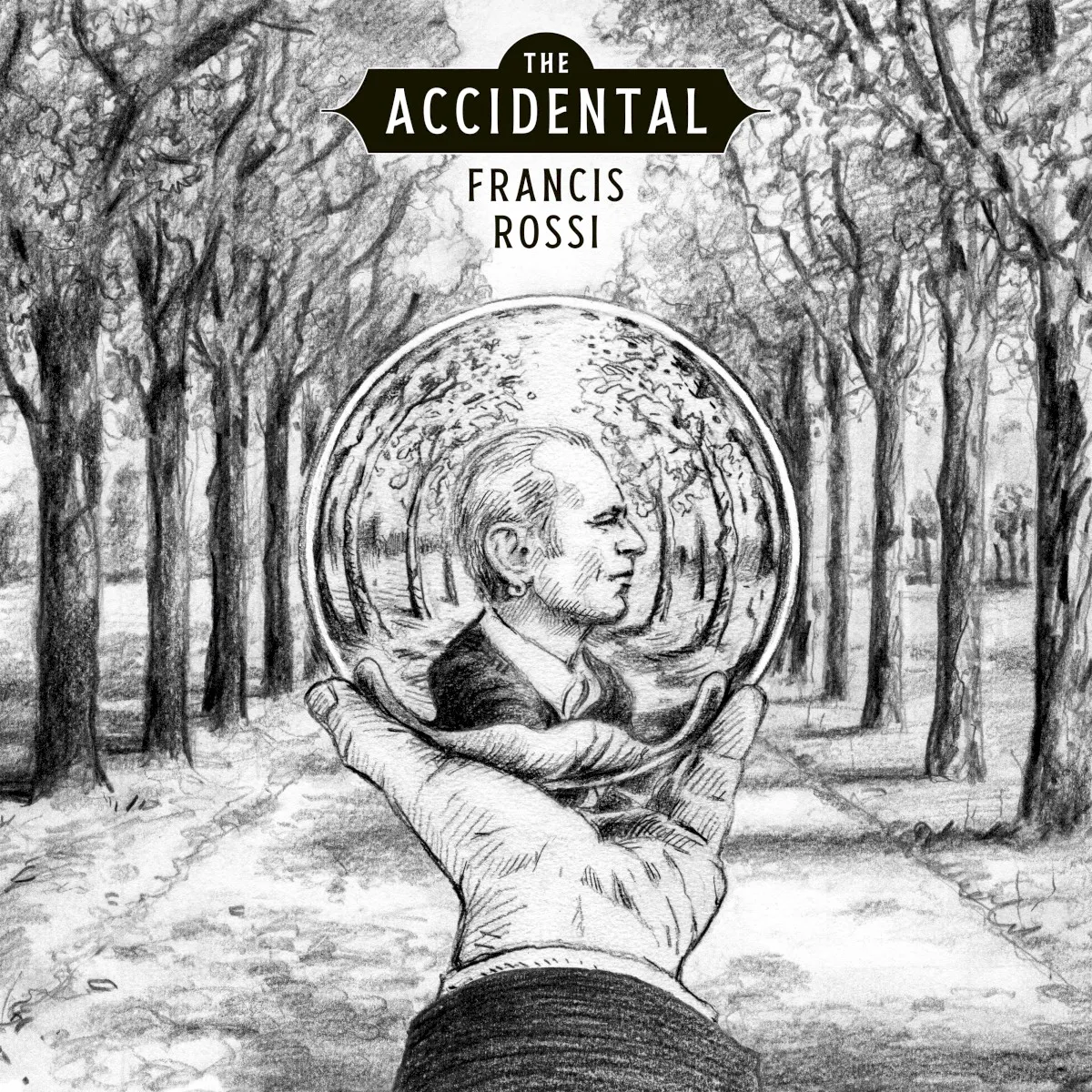 Obal albumu The Accidental