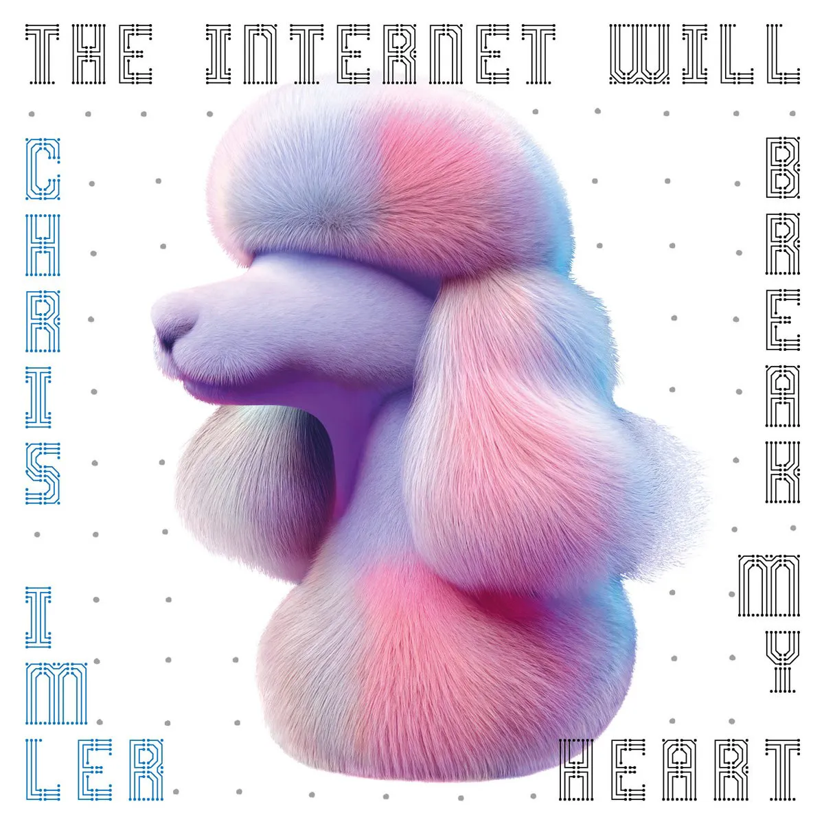 Obal albumu The Internet Will Break My Heart