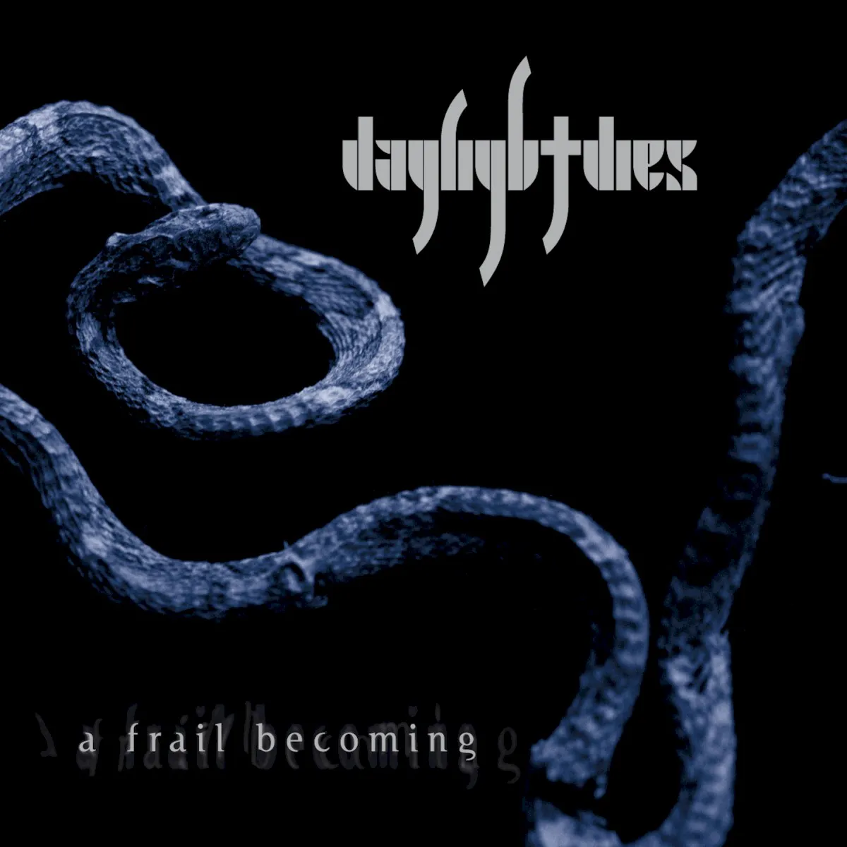 Obal alba Daylight Dies – A Frail Becoming