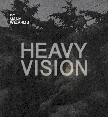 Cover of So Many Wizards – Heavy Vision