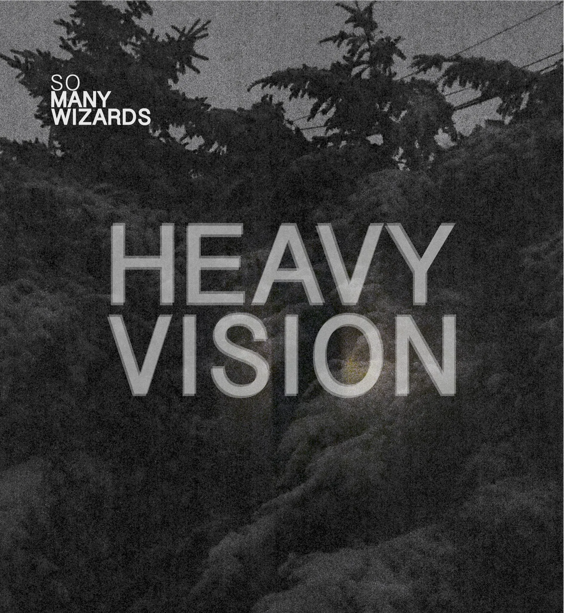 Cover of So Many Wizards – Heavy Vision