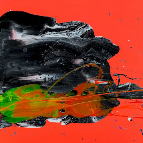 Cover of Goose – Undecided