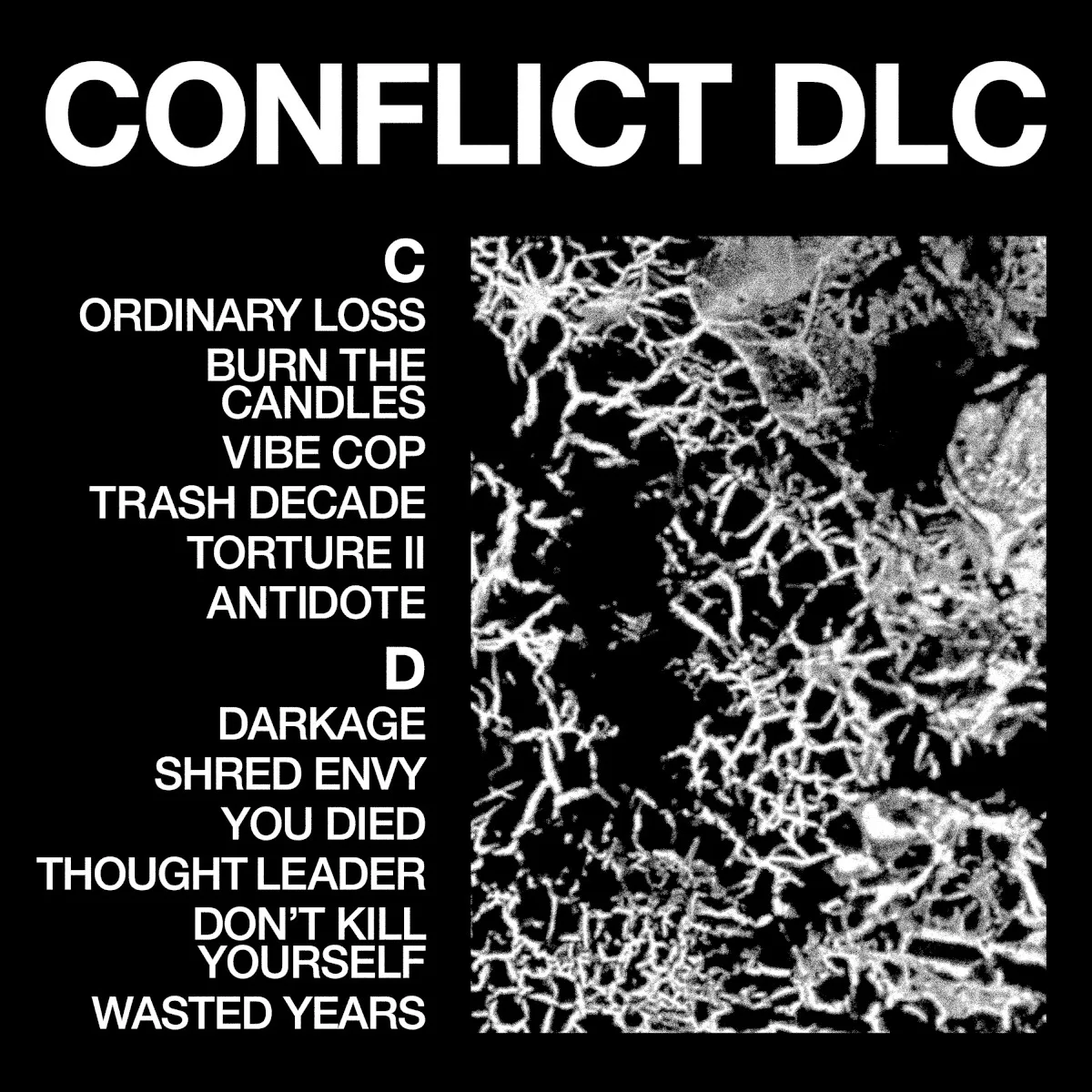 Cover of CONFLICT DLC