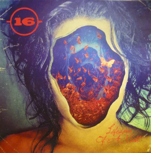 Cover of 16 – Lifespan of a Moth