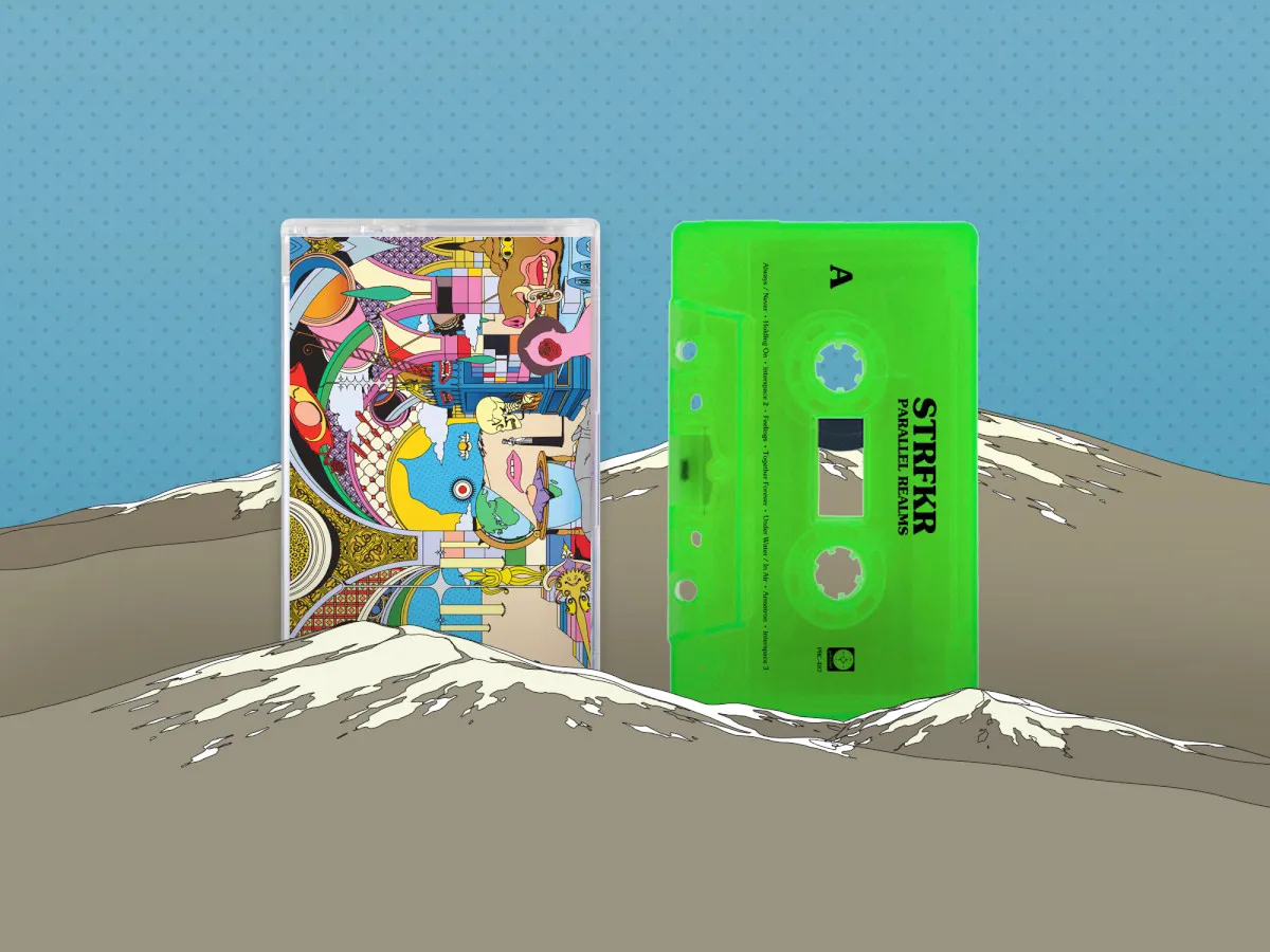 Cover of Parallel Realms