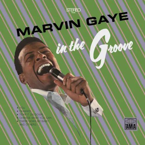 Cover of Marvin Gaye – In the Groove