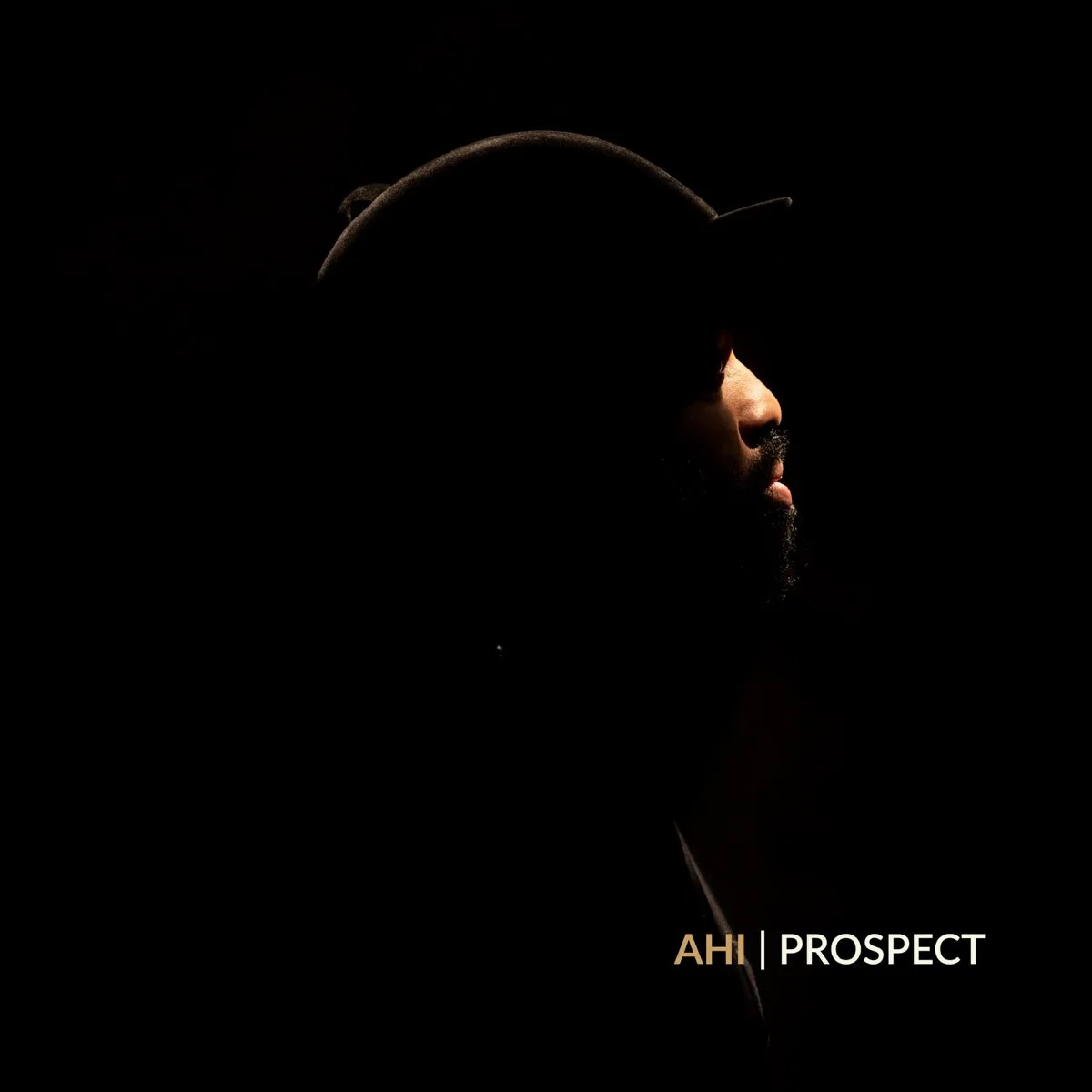 Obal alba AHI – Prospect