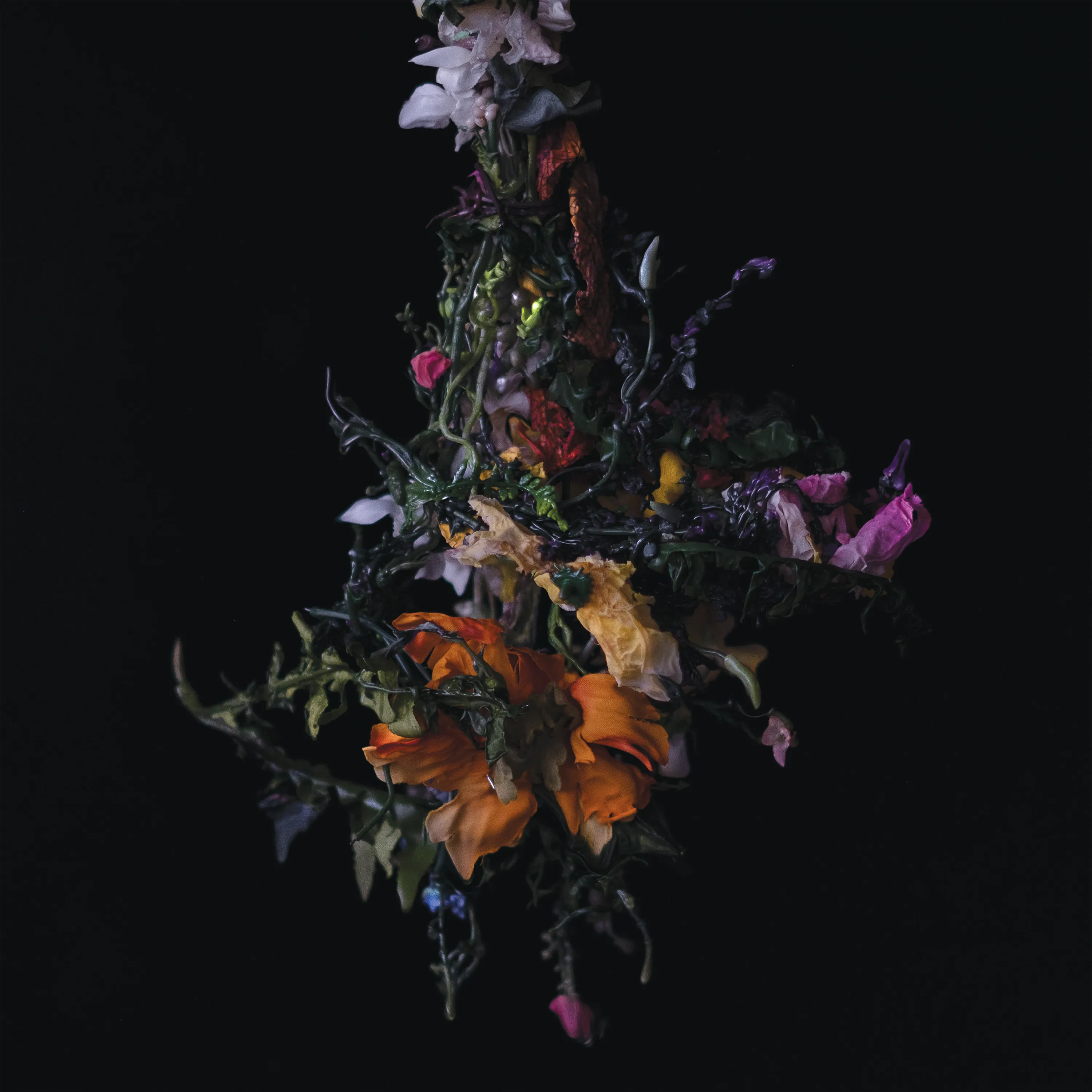 Obal alba nature morte