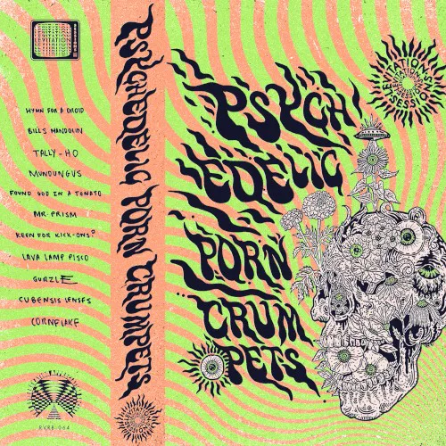Cover of Psychedelic Porn Crumpets – Levitation Sessions