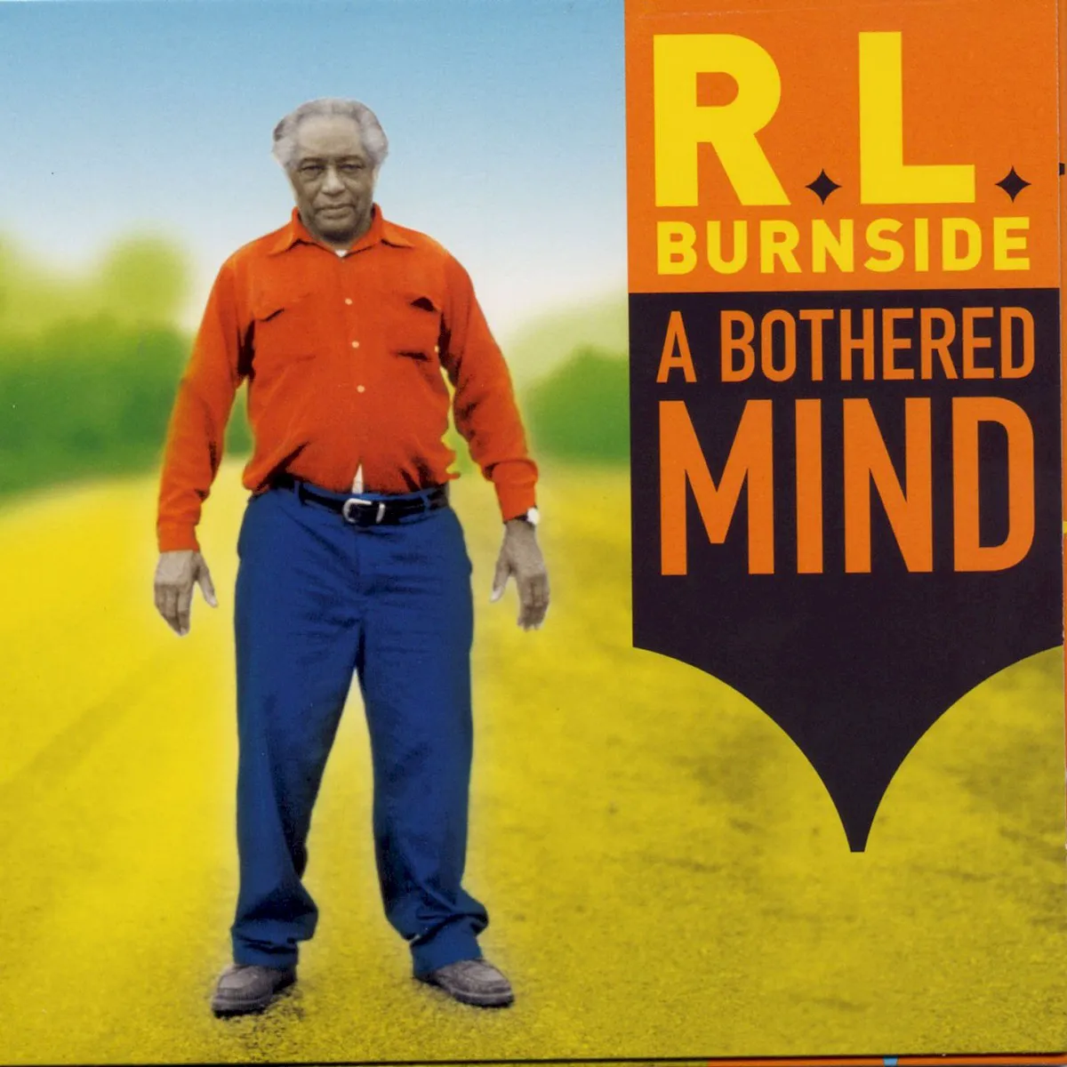 Obal albumu A Bothered Mind