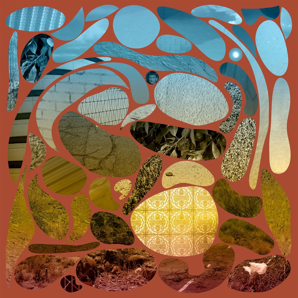 Obal alba Pedro the Lion – Phoenix