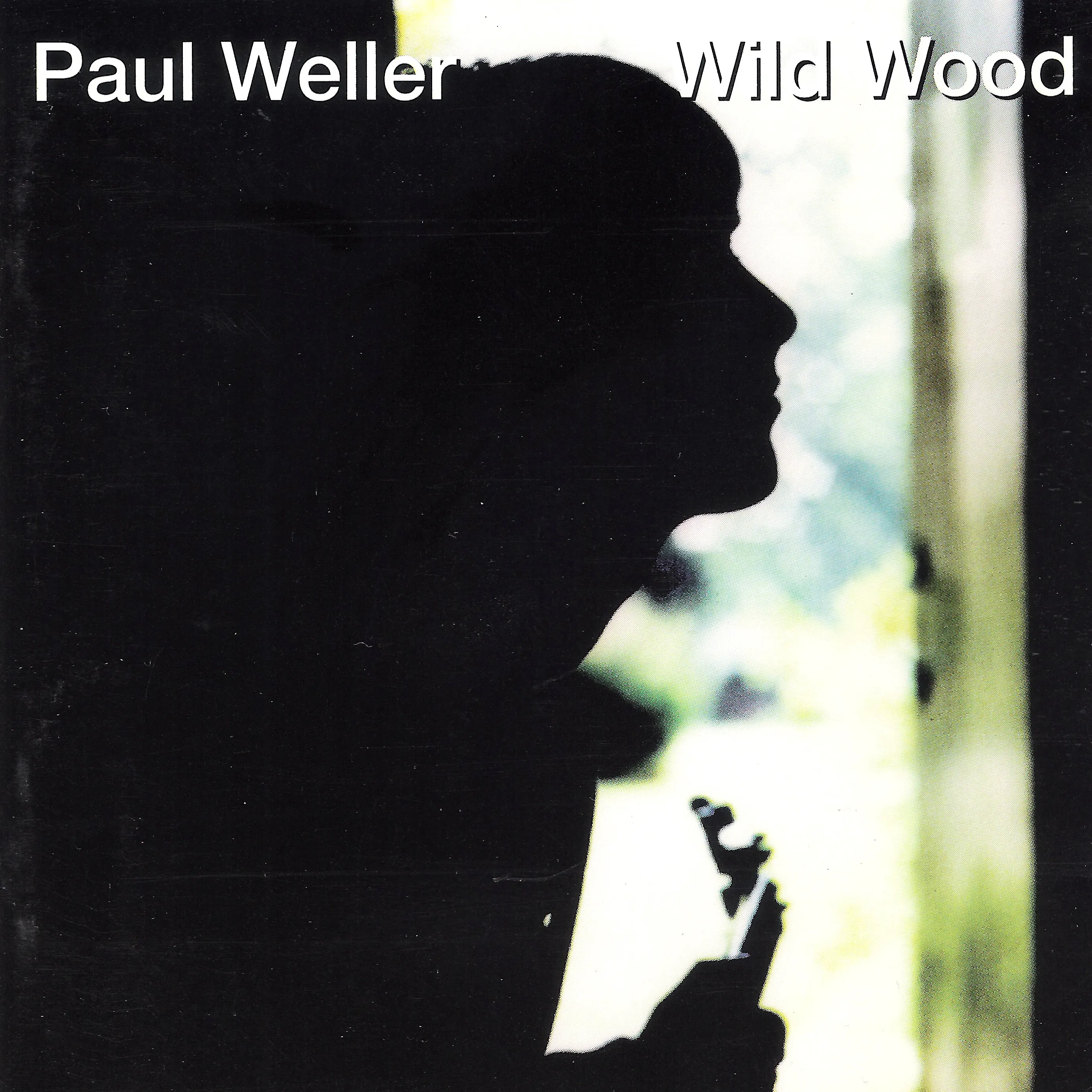 Cover of Paul Weller – Wild Wood