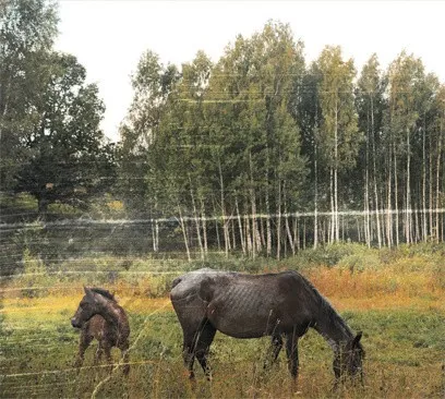 Obal alba Pianos Become the Teeth – Old Pride