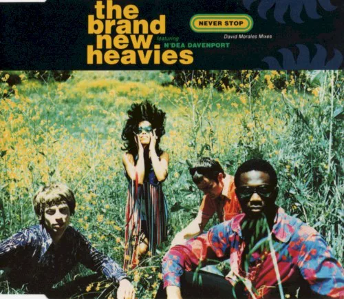 Cover of The Brand New Heavies – Never Stop