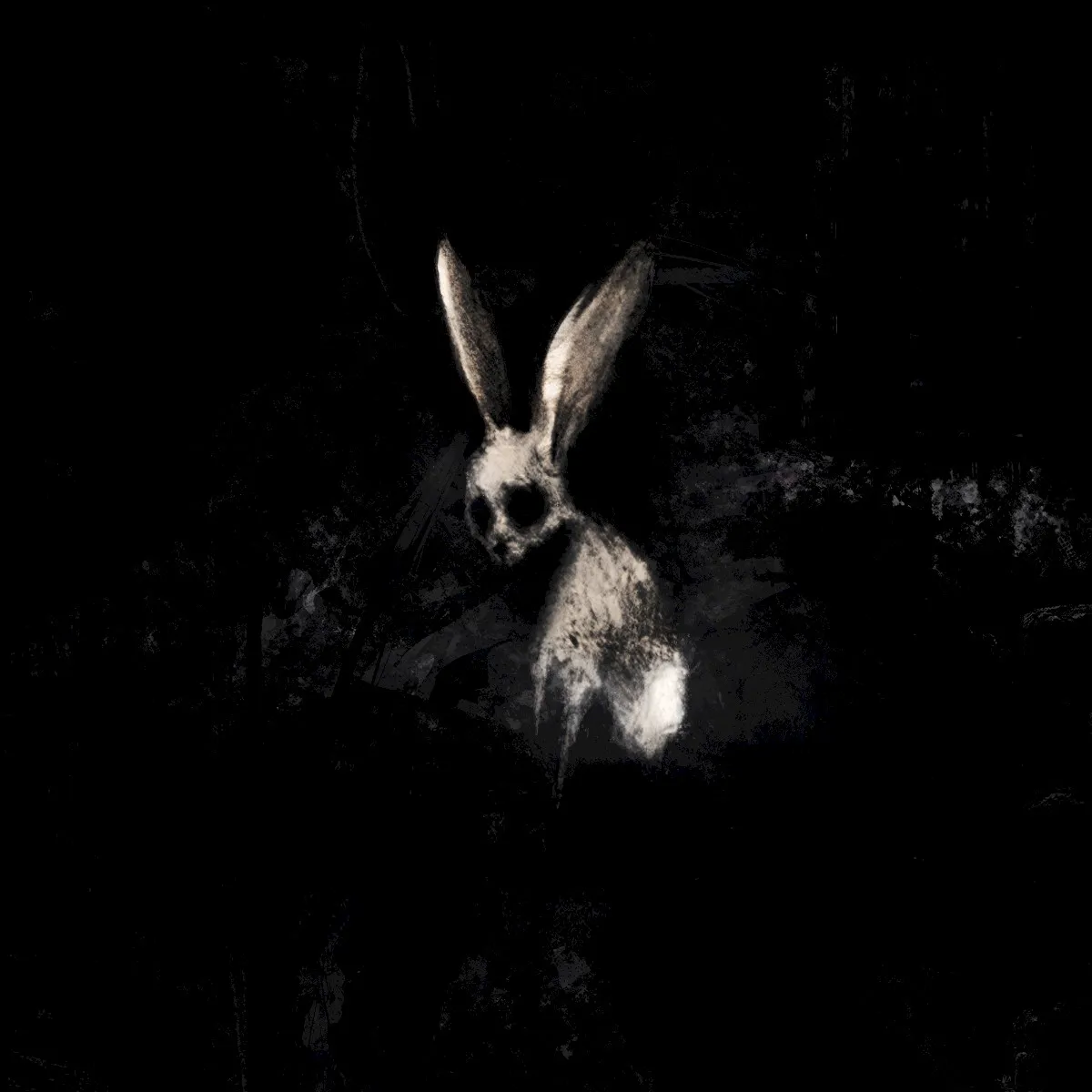 Obal alba Follow the White Rabbit