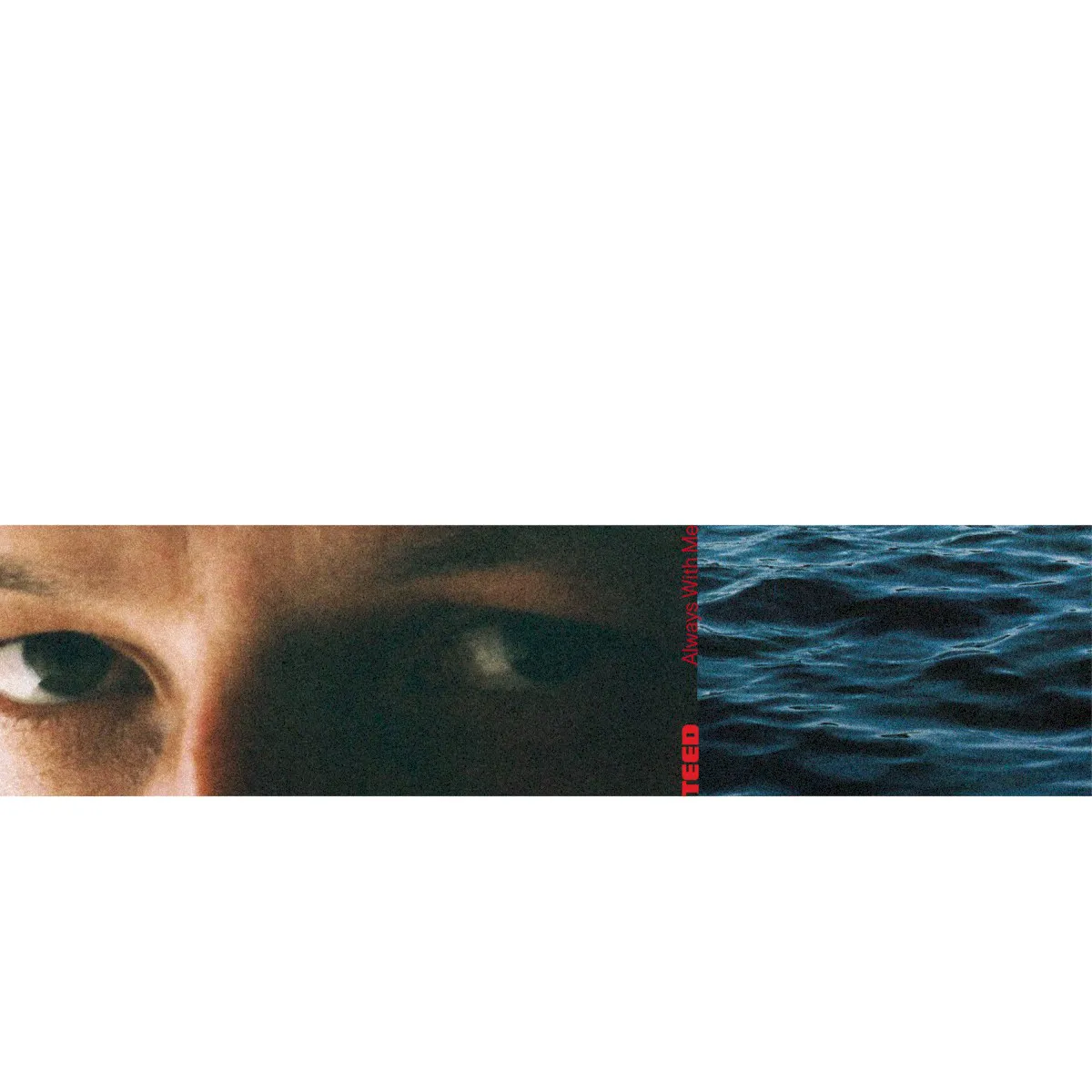 Cover of Always With Me