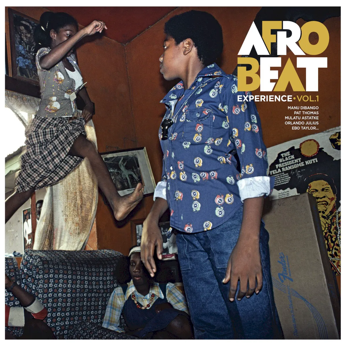 Obal alba Afrobeat Experience, Vol.1