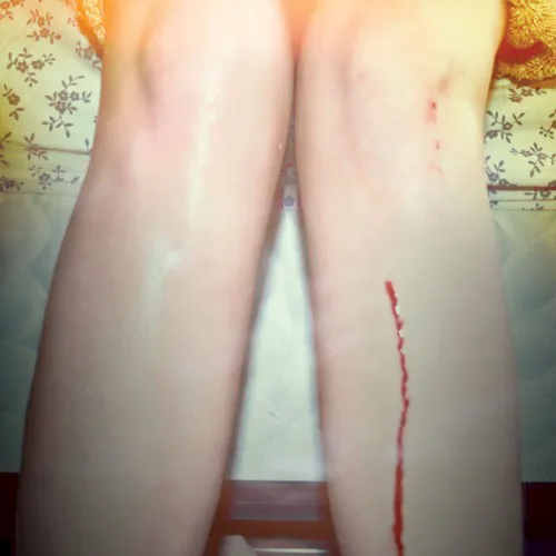 Cover of Los Campesinos! – Romance Is Boring