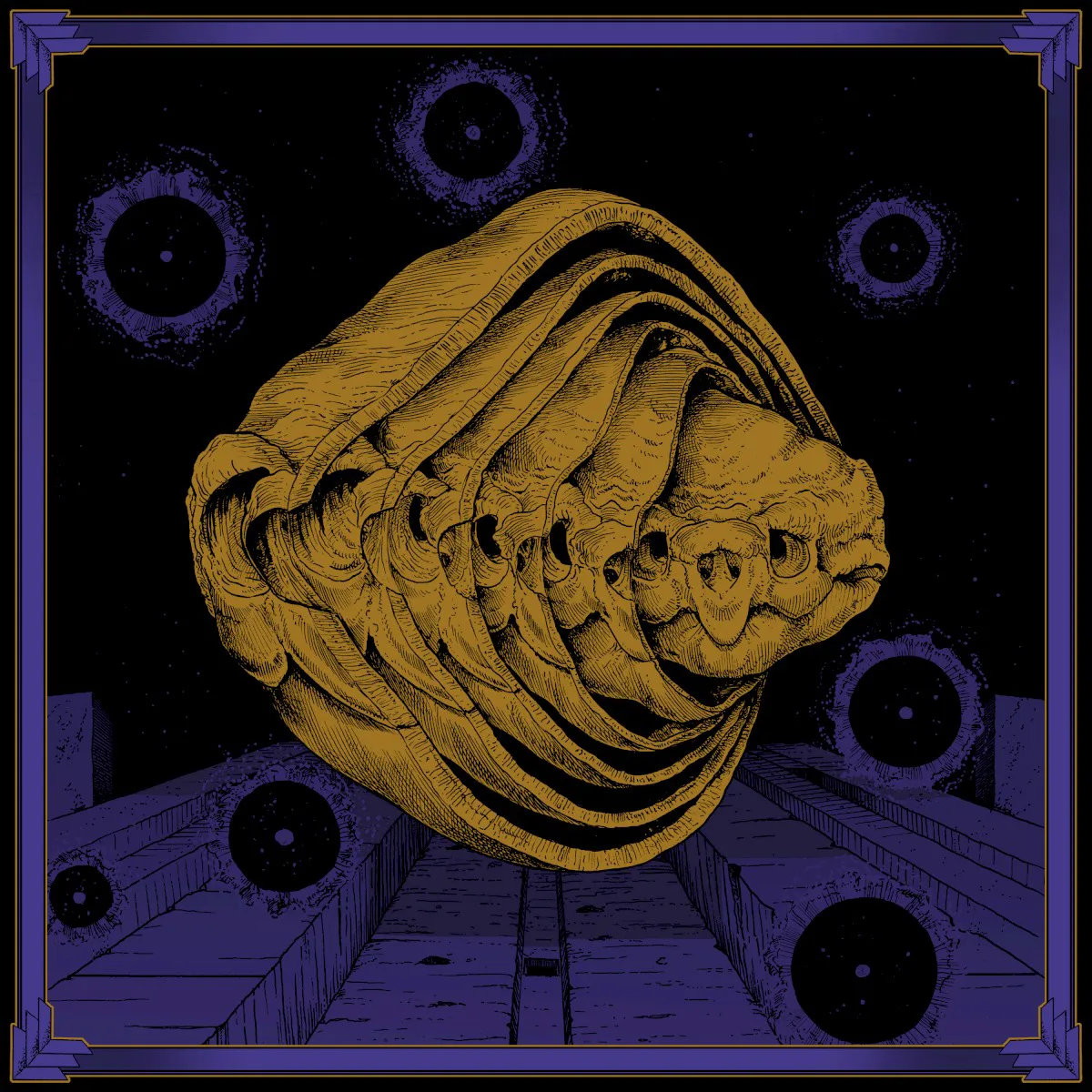 Obal alba Tortuga – Iterations