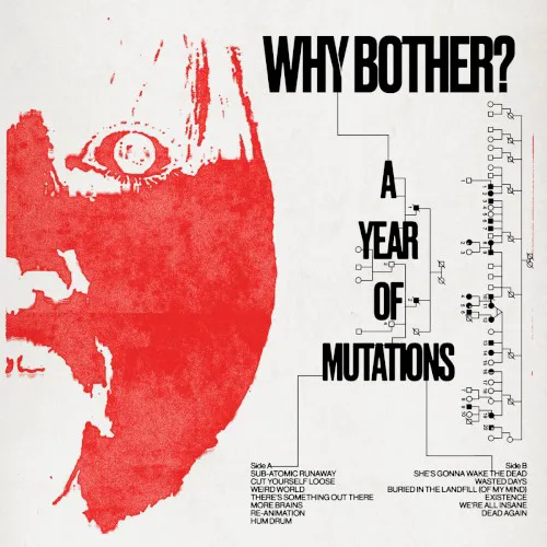 Cover of Why Bother? – A Year of Mutations