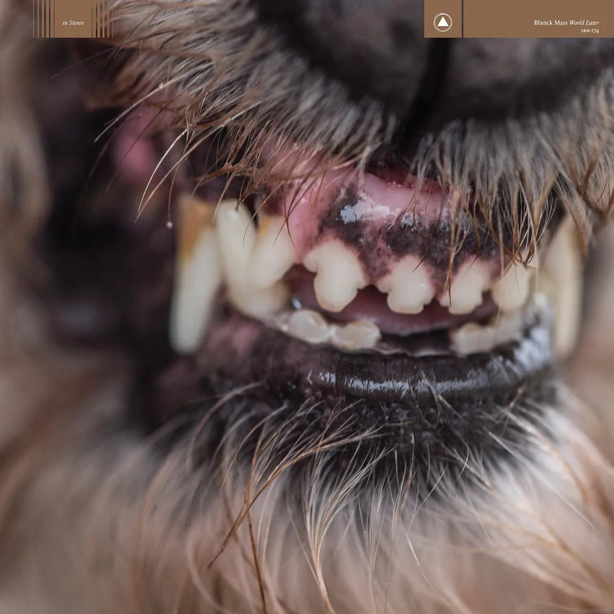 Cover of Blanck Mass – World Eater