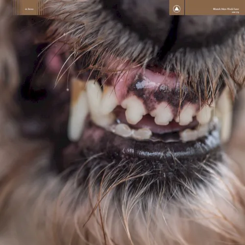 Cover of Blanck Mass – World Eater