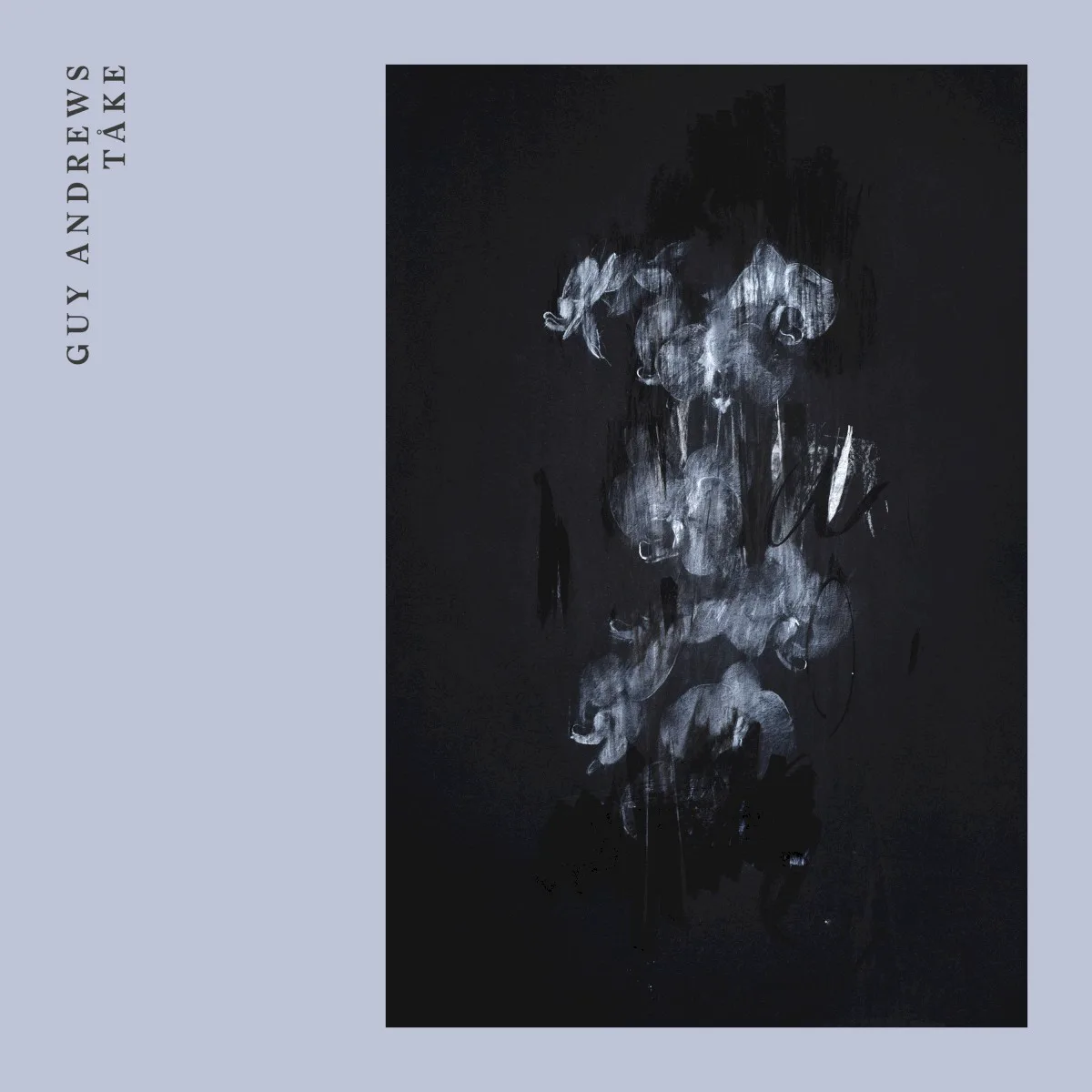 Cover of Guy Andrews – Tåke