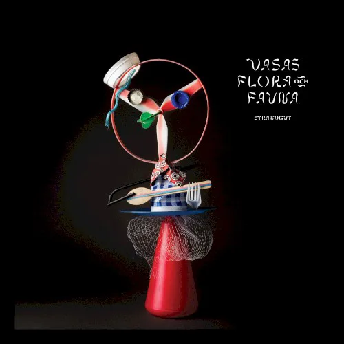 Cover of Vasas flora och fauna – Strandgut