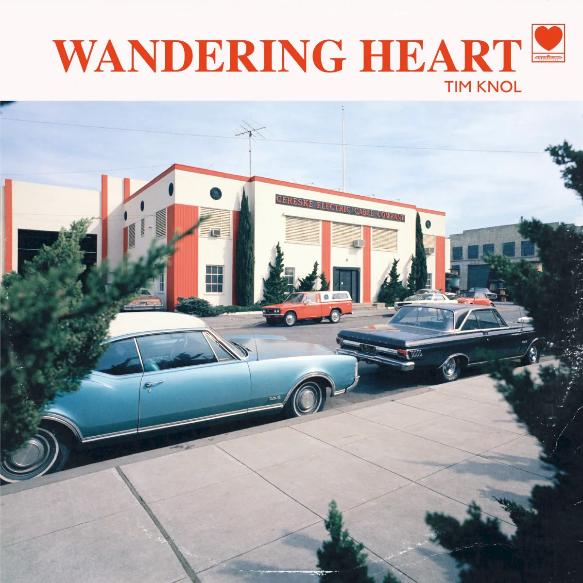Cover of Wandering Heart