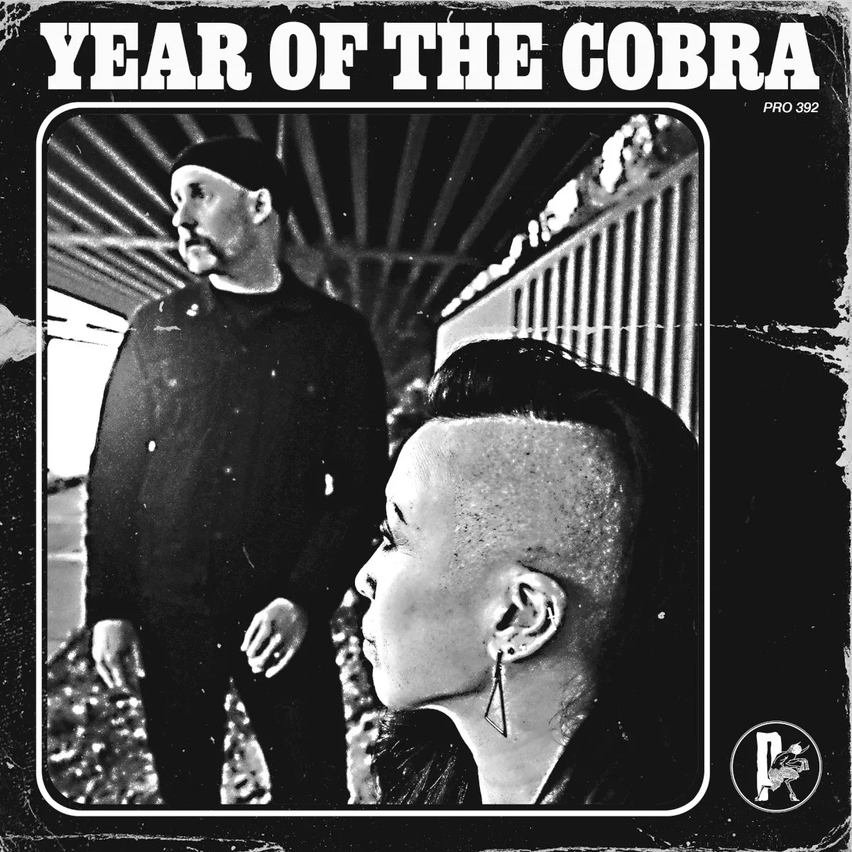 Obal alba Year of the Cobra